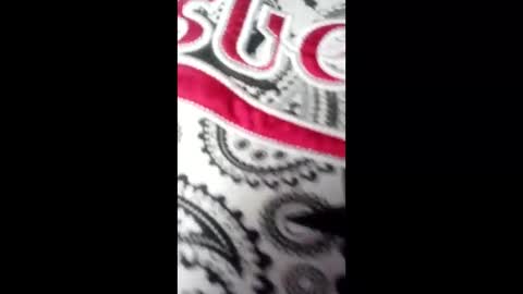 bebyhardsex online show from March 17, 2:09 pm