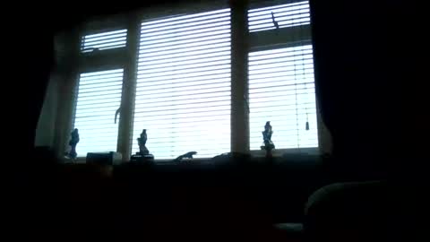 Snapshot of becky273622 chatting on November 10, 11:53 am becky273622 online show from November 10, 11:53 am