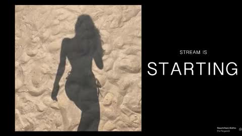 Bela -  - Next stream November 28th online show from February 13, 7:32 pm