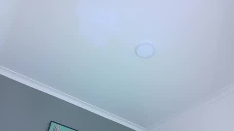 BELA online show from October 28, 11:36 am