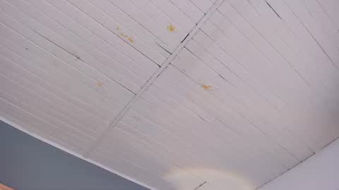 bellaboobs_ online show from June 18, 7:18 pm