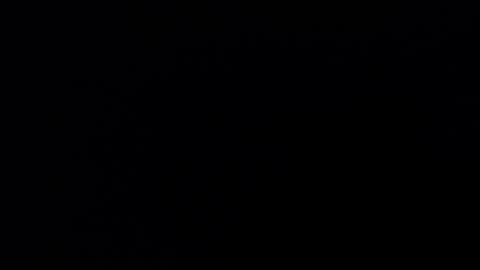 Bella online show from December 3, 2:04 pm