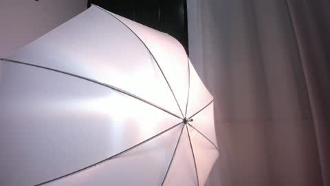 Bella Wild online show from February 12, 12:00 pm