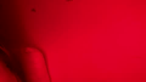 Belle xx online show from November 9, 8:12 am