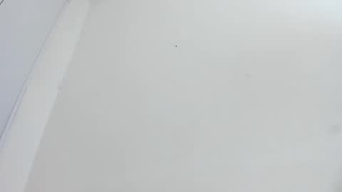 Bellota Flak online show from December 15, 5:55 am