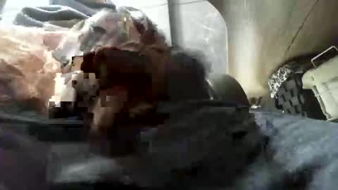 Snapshot of beninoam75 chatting on January 9, 7:33 am beninoam75 online show from January 9, 7:33 am