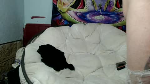 Bent Bunny online show from July 8, 3:00 am