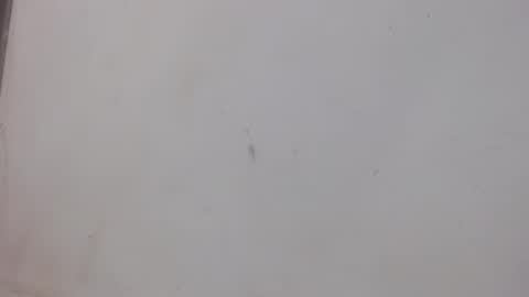 Snapshot of bergon30 chatting on February 1, 1:02 am Bergon77 online show from February 1, 1:02 am