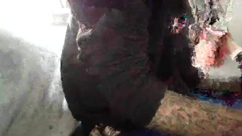 ToxicPipe757 online show from November 4, 3:55 pm