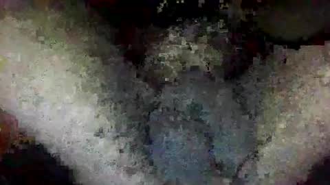 ToxicPipe757 online show from January 14, 2:01 pm