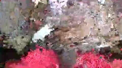 Snapshot of bertdollaz757 chatting on May 20, 5:19 pm ToxicPipe757 online show from May 20, 5:19 pm