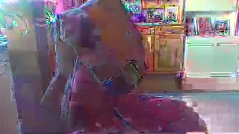 bestmann979994 online show from March 1, 4:20 pm