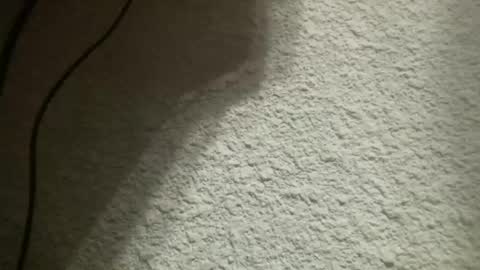 Snapshot of bgf32054 chatting on February 4, 5:21 am Bigfish123 online show from February 4, 5:21 am