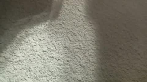 Snapshot of bgf32054 chatting on March 12, 4:41 am Bigfish123 online show from March 12, 4:41 am