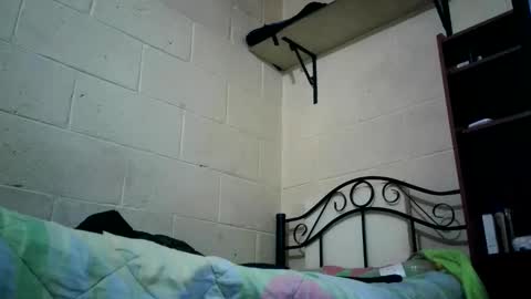 Snapshot of bichopeludo chatting on October 6, 12:08 am bichopeludo online show from October 6, 12:08 am