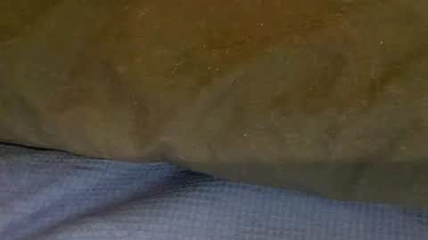 bigboii842 online show from November 15, 4:36 pm