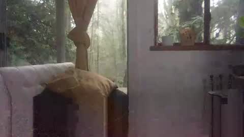 Snapshot of bigbossforsirius chatting on December 1, 4:29 pm bigbossforsirius online show from December 1, 4:29 pm