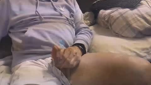 Snapshot of bigboytoy_12 chatting on March 3, 4:58 am L e g a l S t u f f Any UNAUTHORIZED use of this profile video pictures or audio in any form or in a forum now or in the fu online show from March 3, 4:58 am