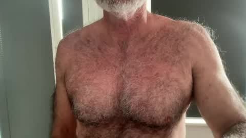 Snapshot of bigbush1 chatting on June 18, 12:00 am big bush online show from June 18, 12:00 am