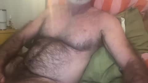Snapshot of bigbush1 chatting on July 19, 7:23 am big bush online show from July 19, 7:23 am