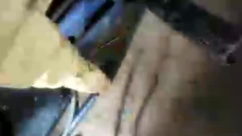 bigcockj808209 online show from July 10, 4:28 am