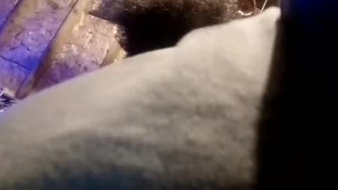 BigDaddykodack online show from November 13, 9:41 am