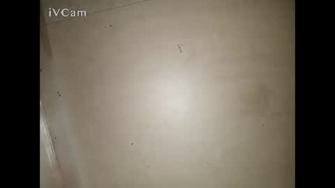 Big online show from March 13, 3:29 pm