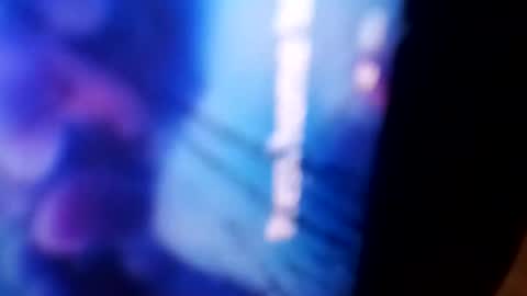 Snapshot of bigdickdaddy42023 chatting on December 4, 11:08 am Rooster P online show from December 4, 11:08 am