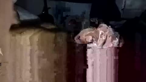 Snapshot of bigdickdaddy7201979564868 chatting on November 23, 2:17 pm bigdickdaddy7201979564868 online show from November 23, 2:17 pm