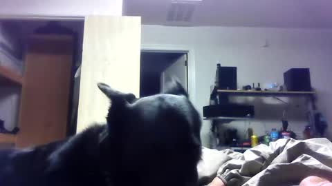 Snapshot of bigdickdaddy7201979564868 chatting on June 19, 6:40 am bigdickdaddy7201979564868 online show from June 19, 6:40 am
