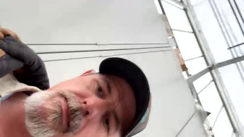 Snapshot of biggymemo69 chatting on December 15, 5:17 pm biggymemo69 online show from December 15, 5:17 pm