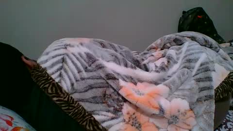 Snapshot of bighandsomesatisfy chatting on January 6, 8:18 pm bighandsomesatisfy online show from January 6, 8:18 pm