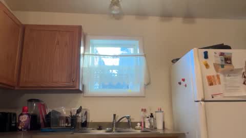 Daniel  Noelia online show from November 12, 3:12 pm