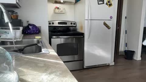 Daniel  Noelia online show from November 27, 8:55 pm