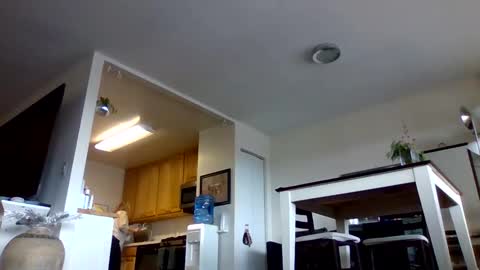 bigjoed233 online show from January 10, 3:47 pm