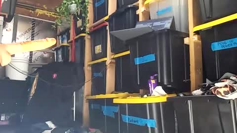 bigmanaround9 online show from December 15, 8:35 pm