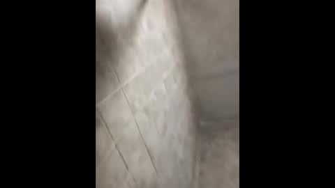 bignastyfilthy online show from September 30, 2:38 am