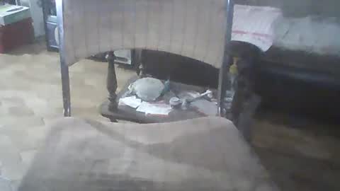 Snapshot of bigpenix chatting on December 21, 3:25 am bigpenix online show from December 21, 3:25 am