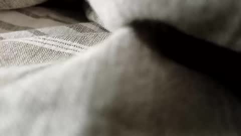 billy7801801010 online show from February 20, 1:13 am