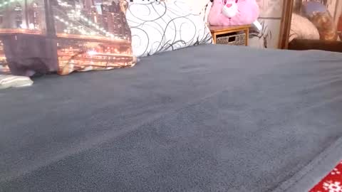 Bill online show from February 17, 12:56 pm