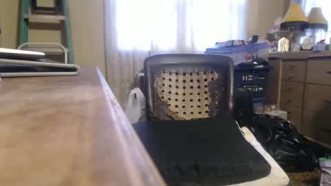 Snapshot of bimbttm chatting on December 20, 1:00 pm Bimbttm online show from December 20, 1:00 pm