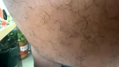 bisfurbear online show from June 24, 10:09 pm