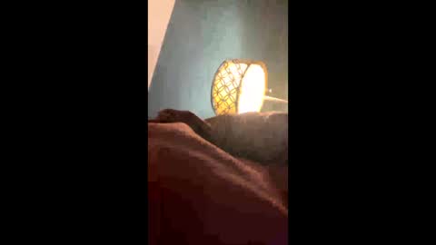 Snapshot of blackgirthy chatting on February 26, 4:36 am blackgirthy online show from February 26, 4:36 am