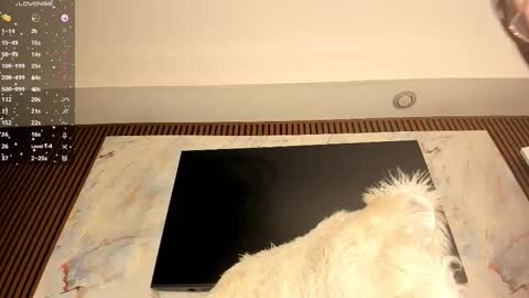 Karina online show from February 20, 6:26 am