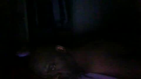 Snapshot of blackteddybear chatting on March 9, 12:58 am blackteddybear online show from March 9, 12:58 am