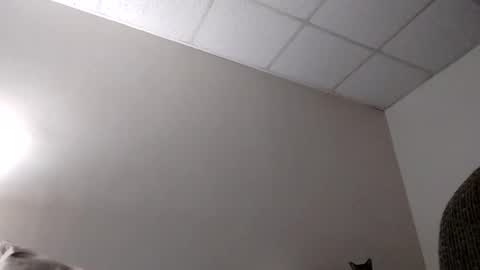 Snapshot of blahblam420 chatting on February 5, 7:50 am blahblam420 online show from February 5, 7:50 am