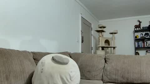 Snapshot of blakeandskylar chatting on February 7, 1:15 am BlakeAndSkylar online show from February 7, 1:15 am