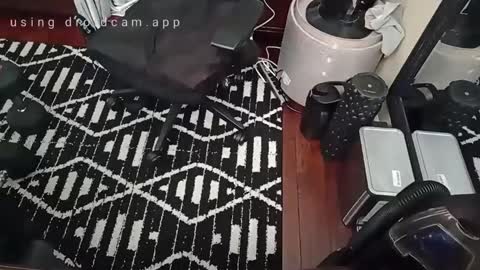 Blackjag00 online show from February 16, 7:49 pm