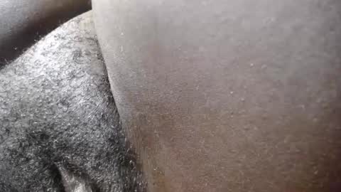  cherry  online show from September 14, 5:23 pm