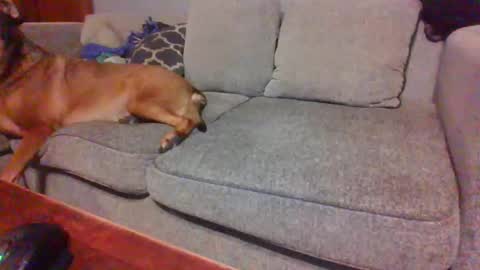 blaw_1321 online show from November 23, 9:47 pm